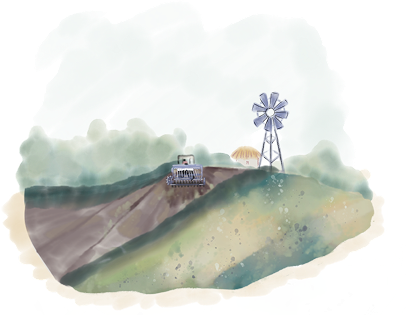 seeder-field-landscape